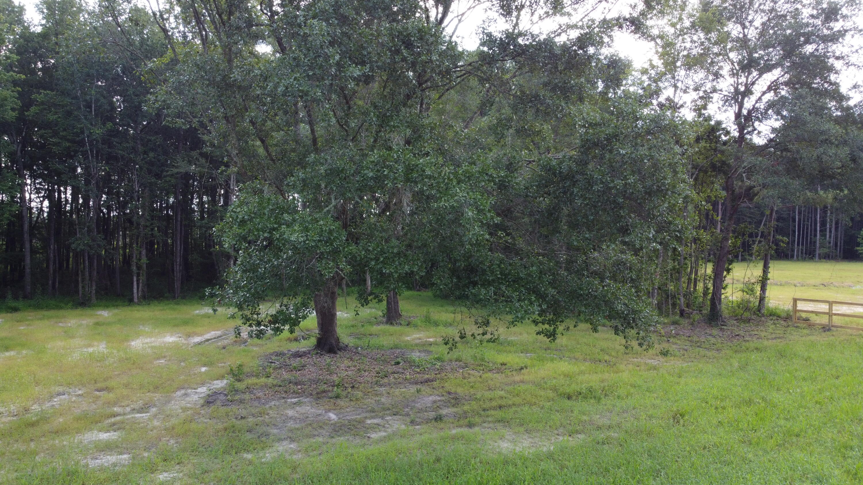 660 Bc Estates Lane Cross, SC 29436 - Photo 5 of 7 DJI_0091