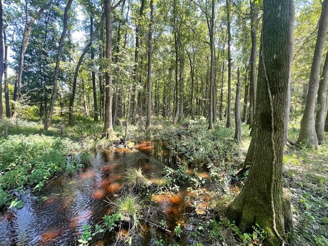660 Bc Estates Lane Cross, SC 29436 - Photo 7 of 7 IMG_7752