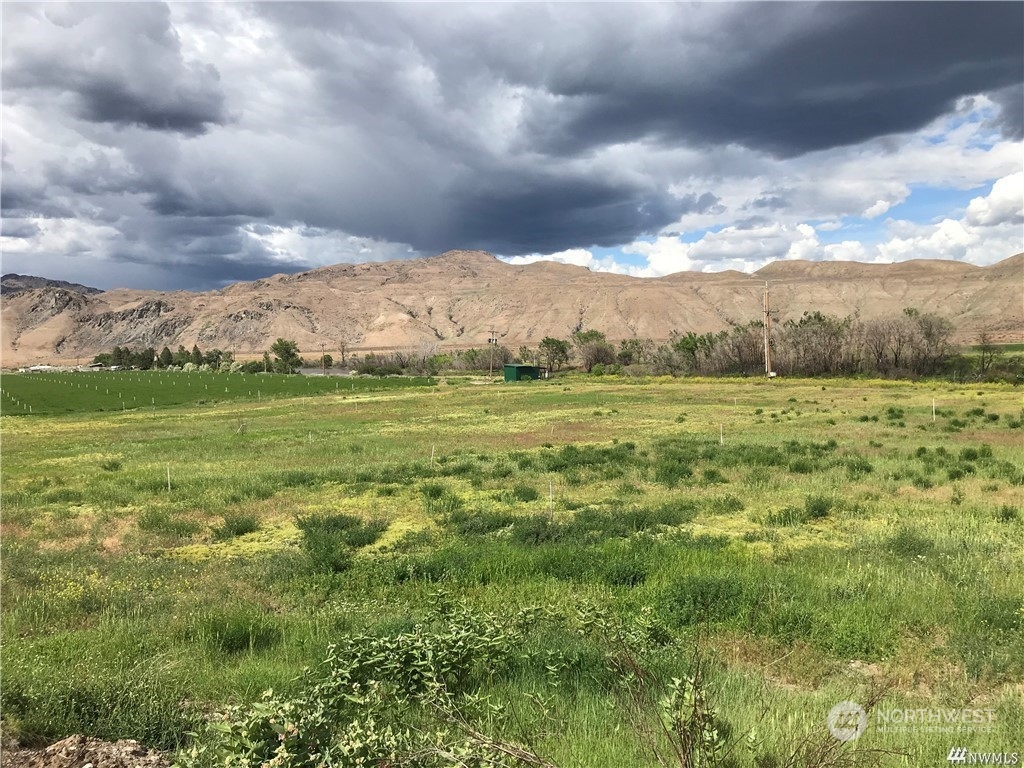 628 Monse River Road Brewster, WA 98812 - Photo 2 of 5 a view of a field with an ocean and trees