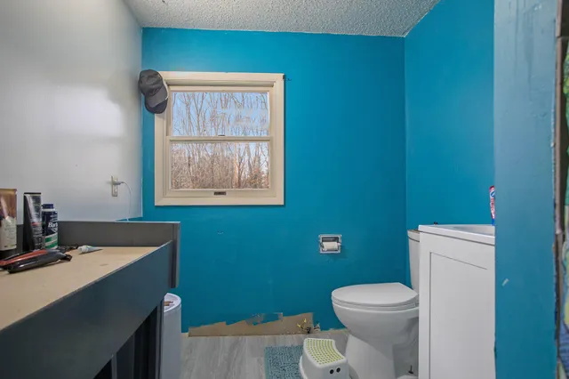 $259,000 | 617 North Gordon Street, Marshall, MI 49068