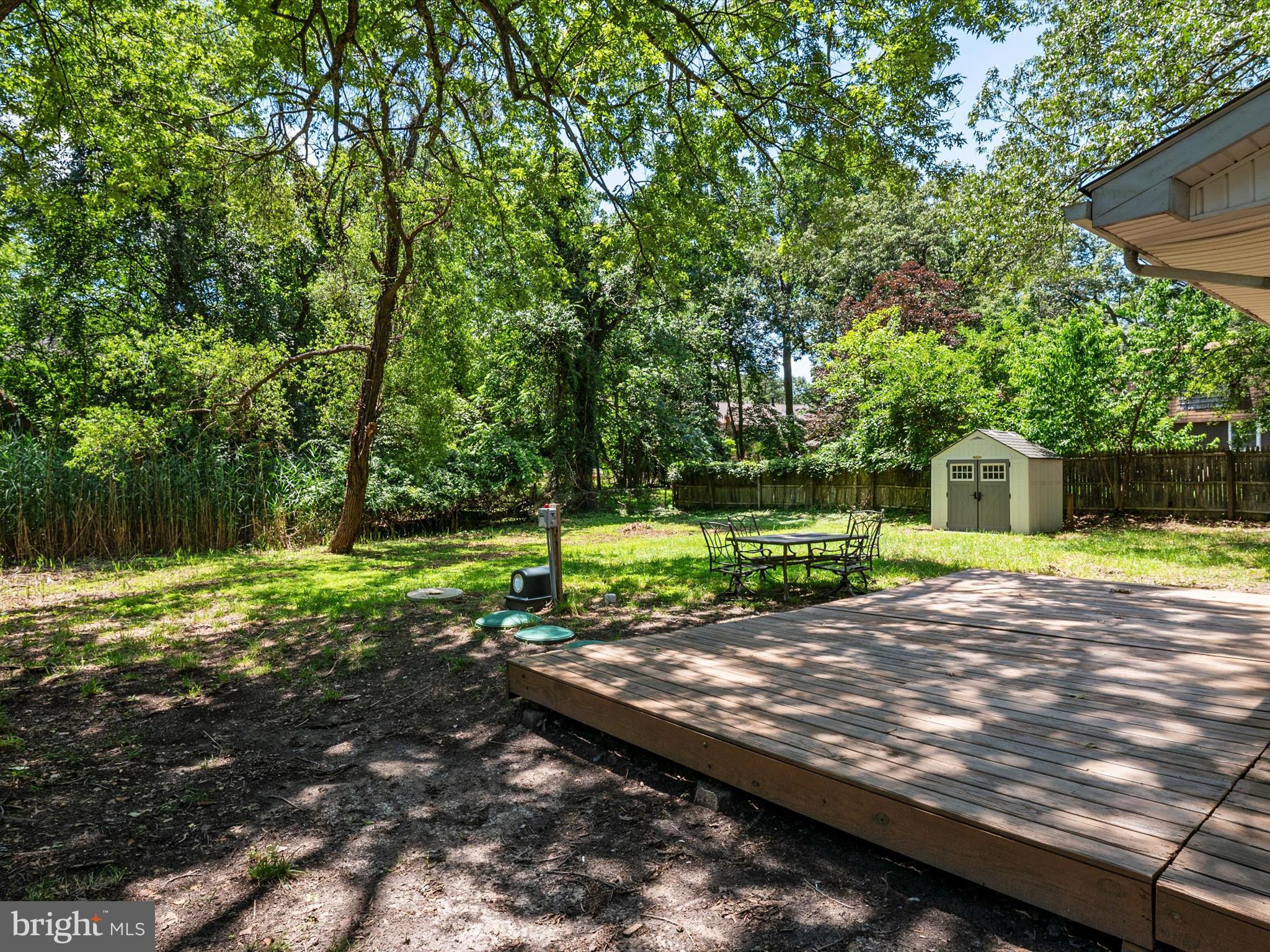 1395 Rainbow Drive Pasadena, MD 21122 - Photo 25 of 28 a view of a park with a large trees
