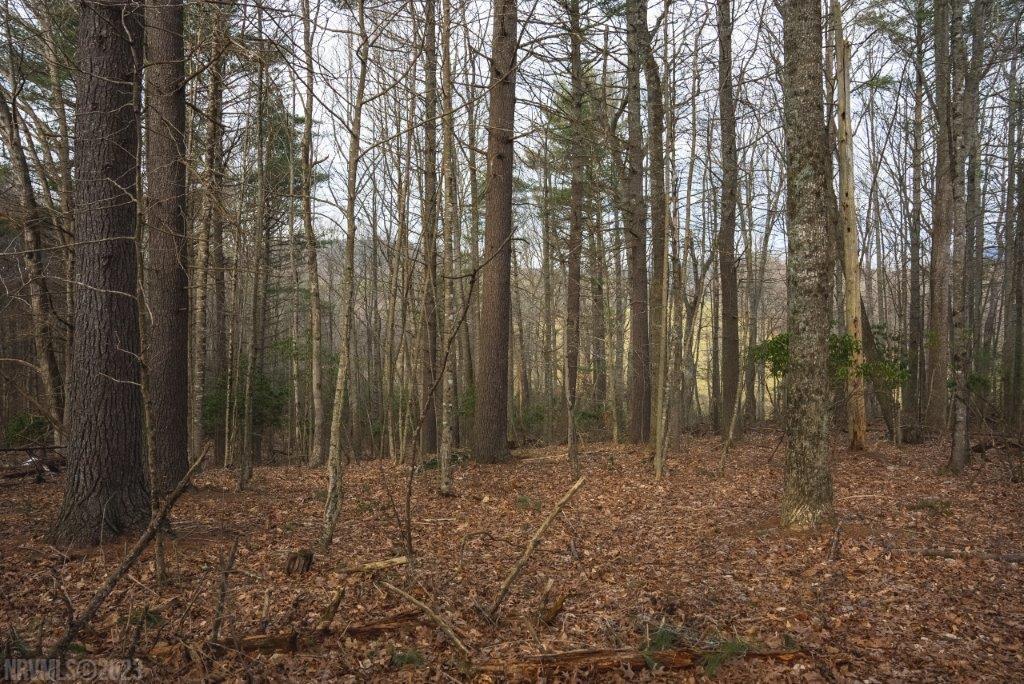 3 Long Mountain Road Southwest Willis, VA 24380 - Photo 47 of 66 Gallery Image 47