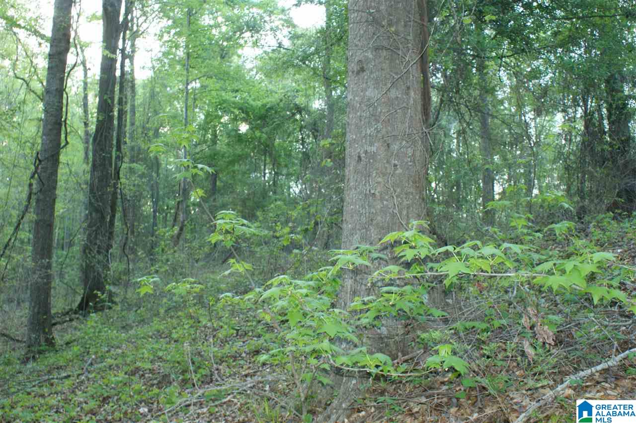 15 County Road, Unit 12791 Maplesville, AL 36750 - Photo 7 of 10