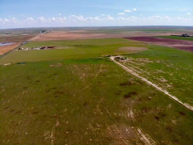 a view of an ocean from a yard