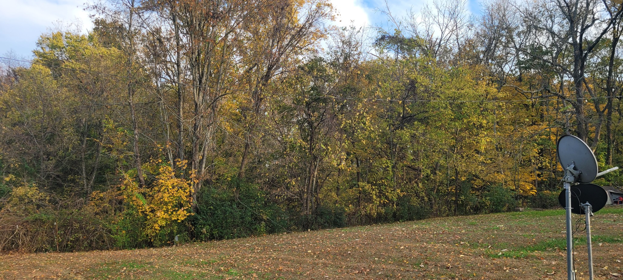 4698 Bennett Hollow Road Thompson's Station, TN 37179 - Photo 2 of 6 a view of a yard