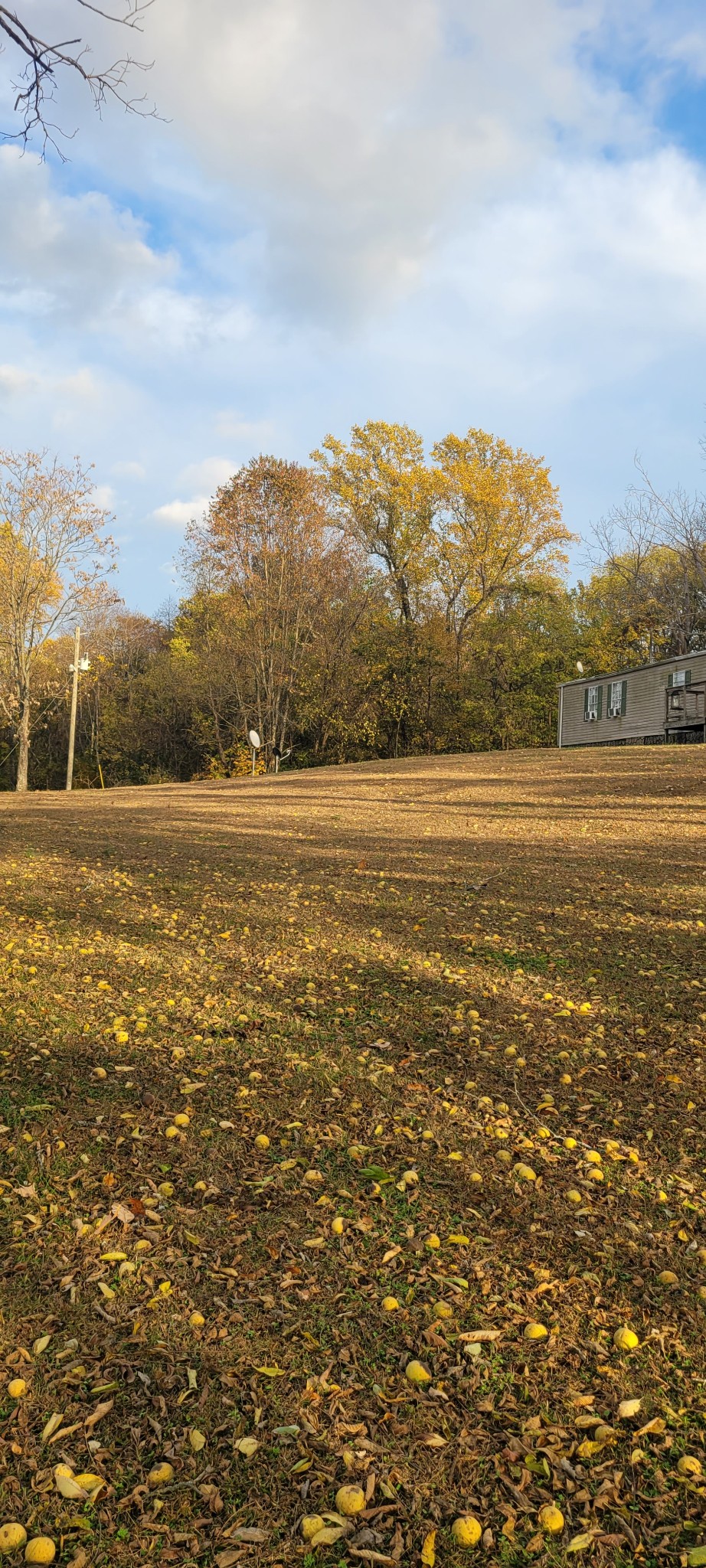 4698 Bennett Hollow Road Thompson's Station, TN 37179 - Photo 4 of 6 a view of an ocean