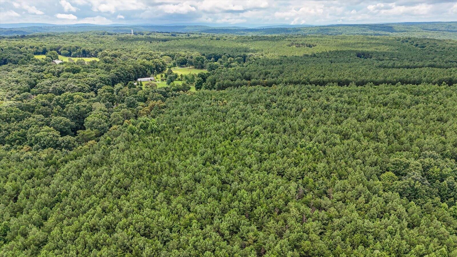 0 Coca-Cola Road Dunlap, TN 37327 - Photo 11 of 20