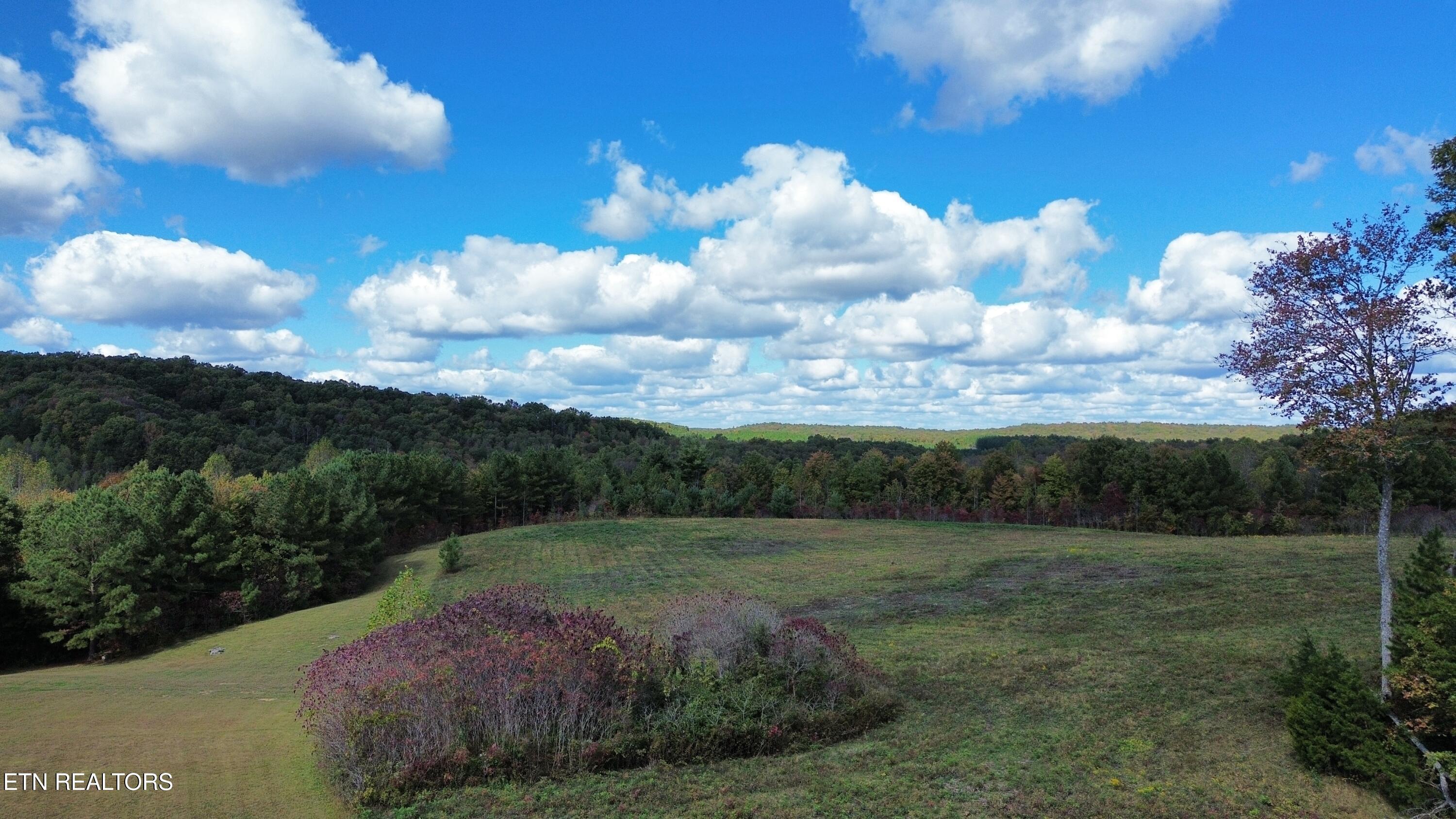 Lot 3 Honey Creek Road Allardt, TN 38504 - Photo 12 of 20 2CD716_North