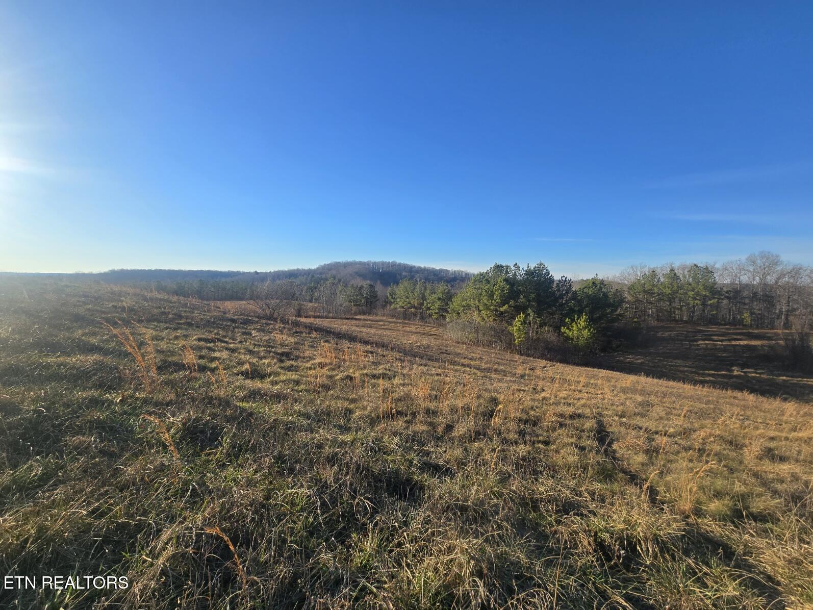 Lot 3 Honey Creek Road Allardt, TN 38504 - Photo 6 of 20 20251230_161936