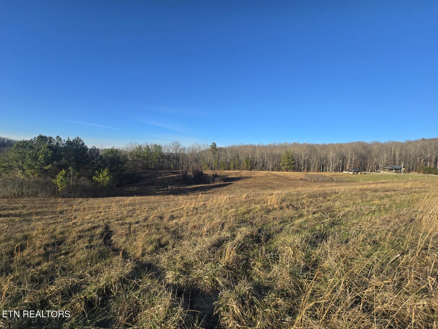 Lot 3 Honey Creek Road Allardt, TN 38504 - Photo 7 of 20 20251230_161943