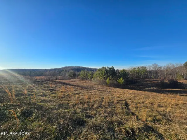 $83,040 | Lot 3 Honey Creek Road, Allardt, TN 38504