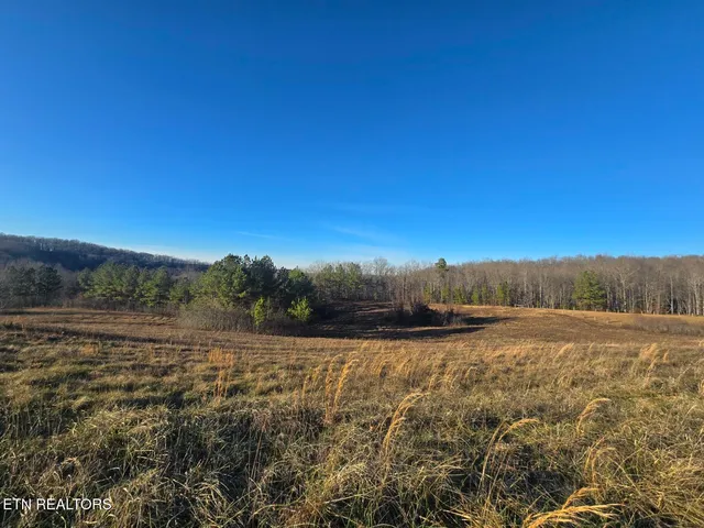 $83,040 | Lot 3 Honey Creek Road, Allardt, TN 38504