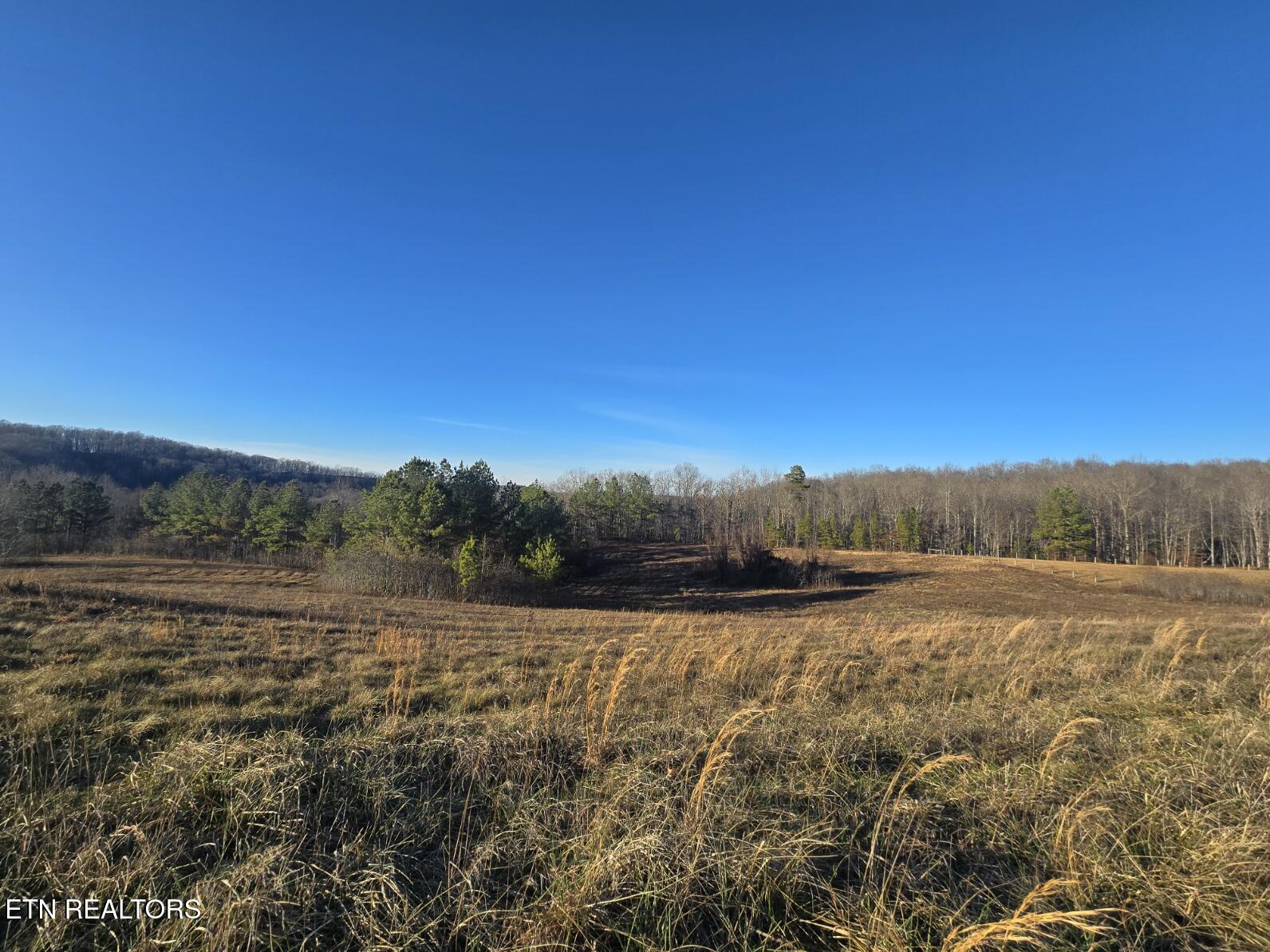 Lot 3 Honey Creek Road Allardt, TN 38504 - Photo 9 of 20 20251230_162003