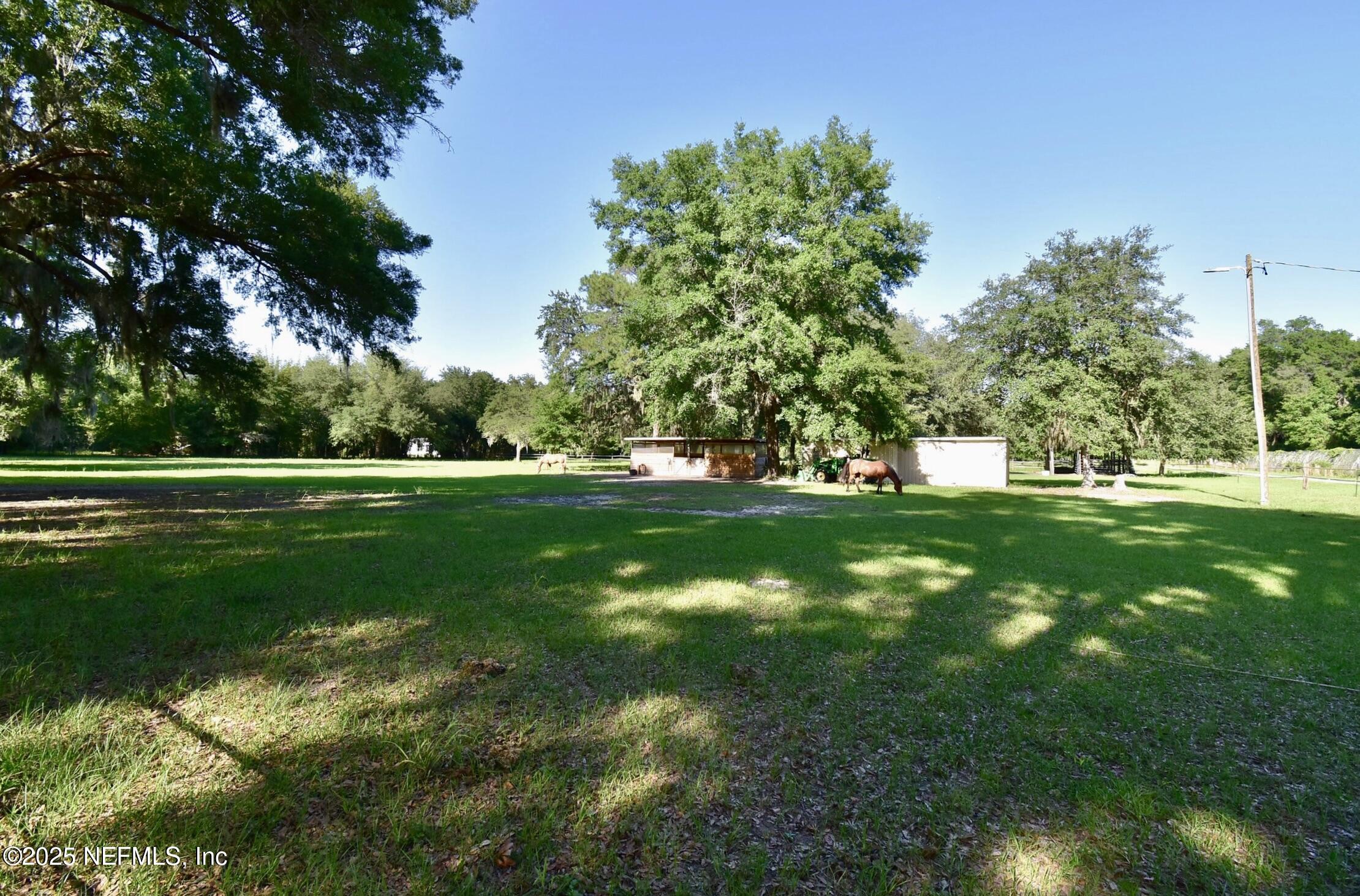 500 Georgetown Shortcut Road Georgetown, FL 32139 - Photo 11 of 59 a view of a golf course
