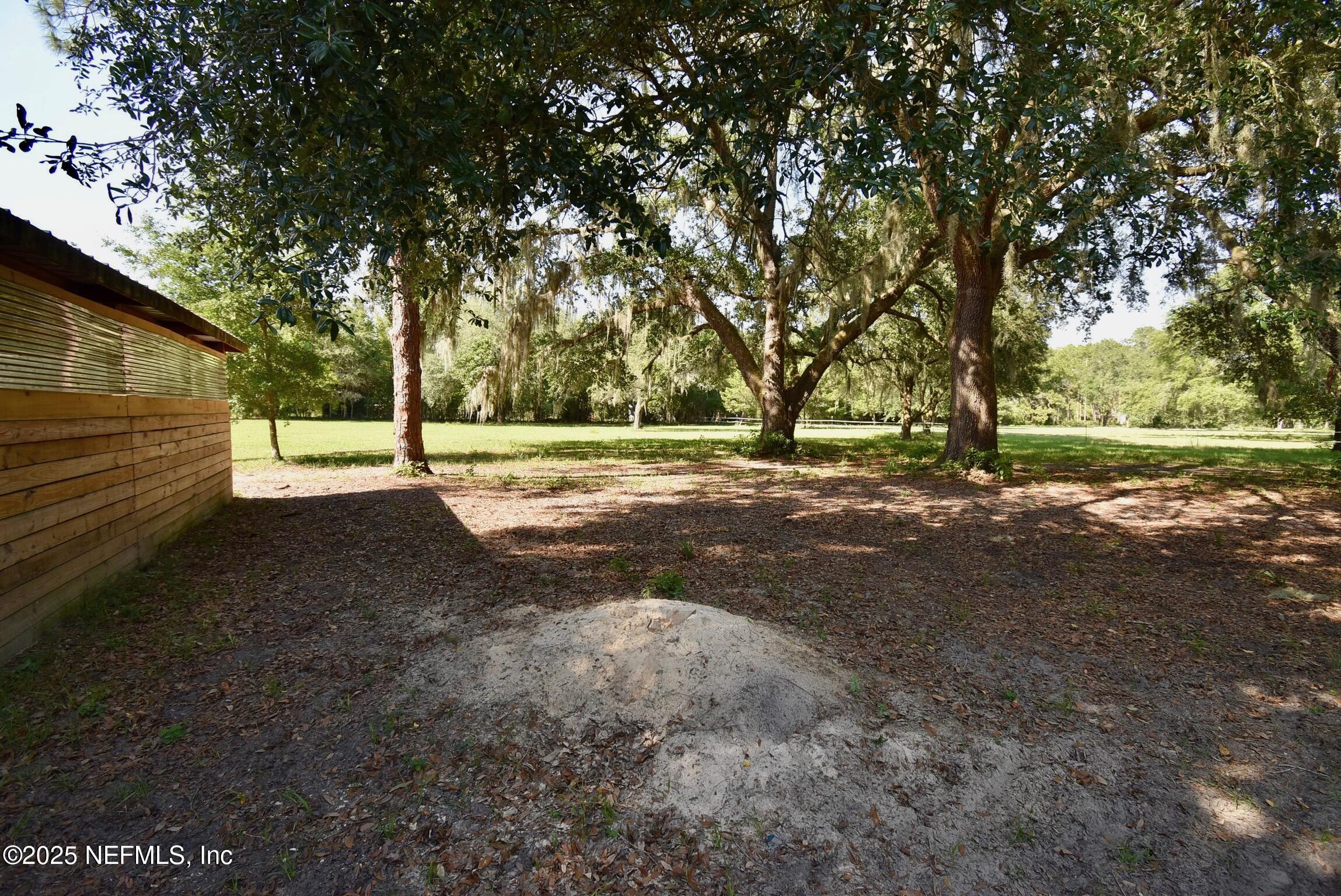 500 Georgetown Shortcut Road Georgetown, FL 32139 - Photo 15 of 59 a view of a yard with tree s