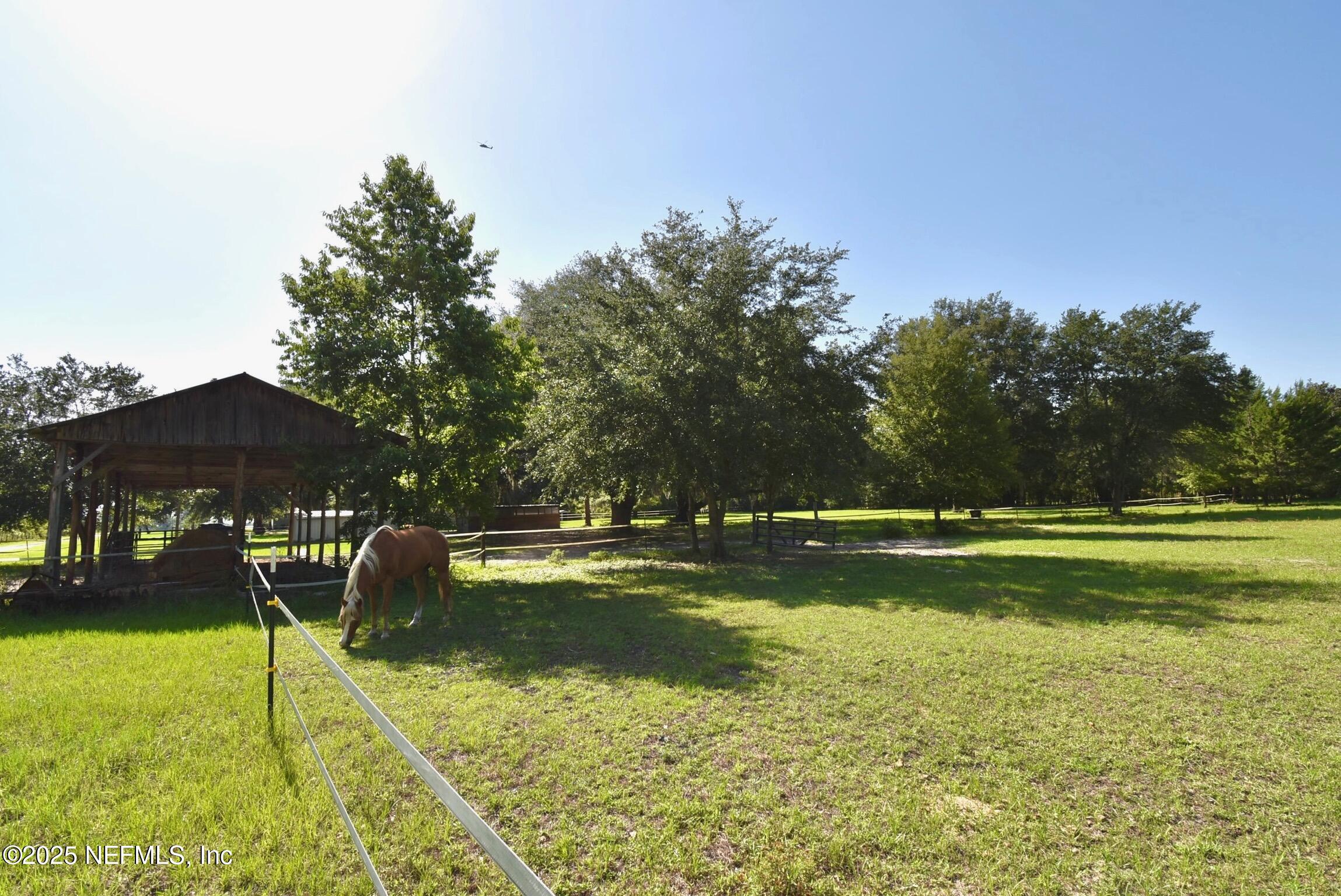 500 Georgetown Shortcut Road Georgetown, FL 32139 - Photo 19 of 59 a view of a swimming pool with a yard and plants