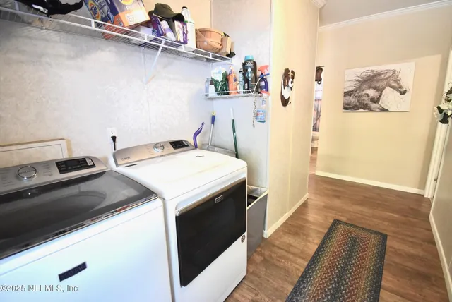 a view of a park with a trees