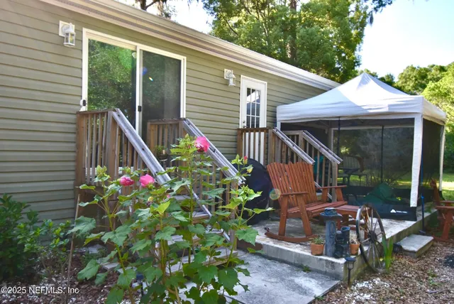a view of a yard with plants and trees
