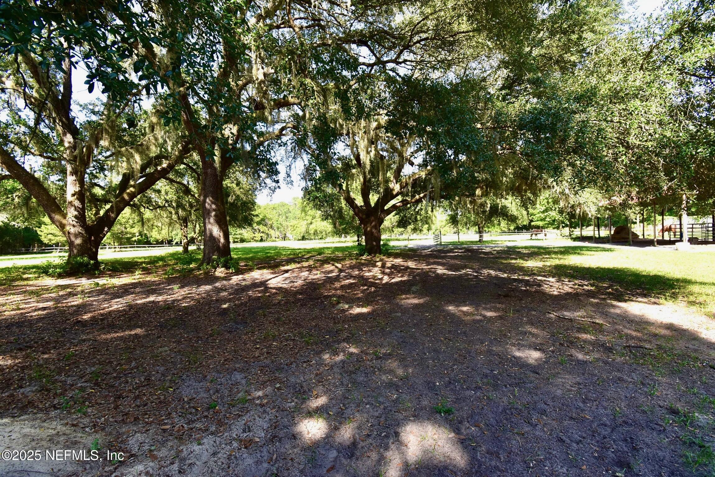 500 Georgetown Shortcut Road Georgetown, FL 32139 - Photo 57 of 59 a view of a yard with large trees