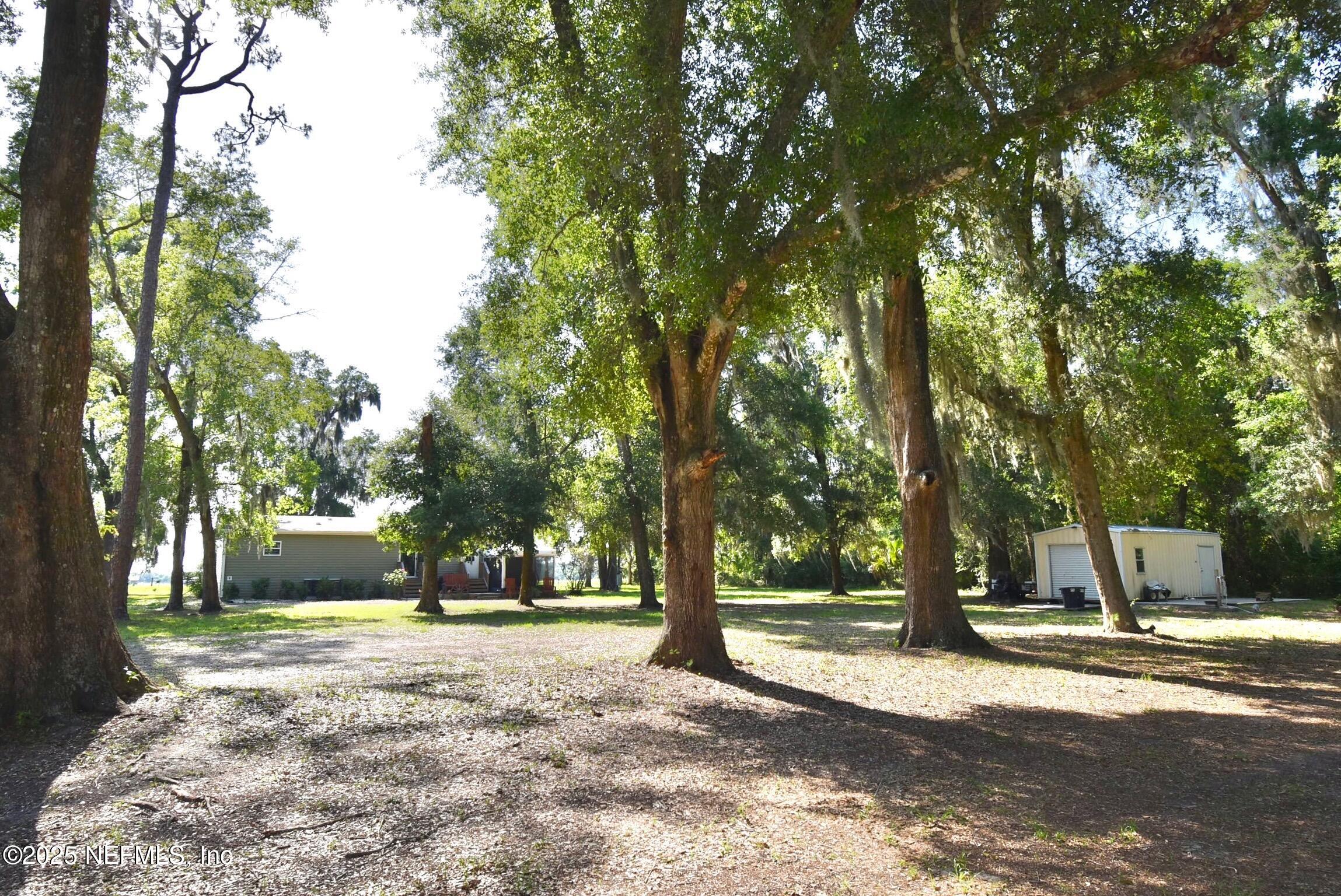 500 Georgetown Shortcut Road Georgetown, FL 32139 - Photo 6 of 59 a view of a yard with plants and trees