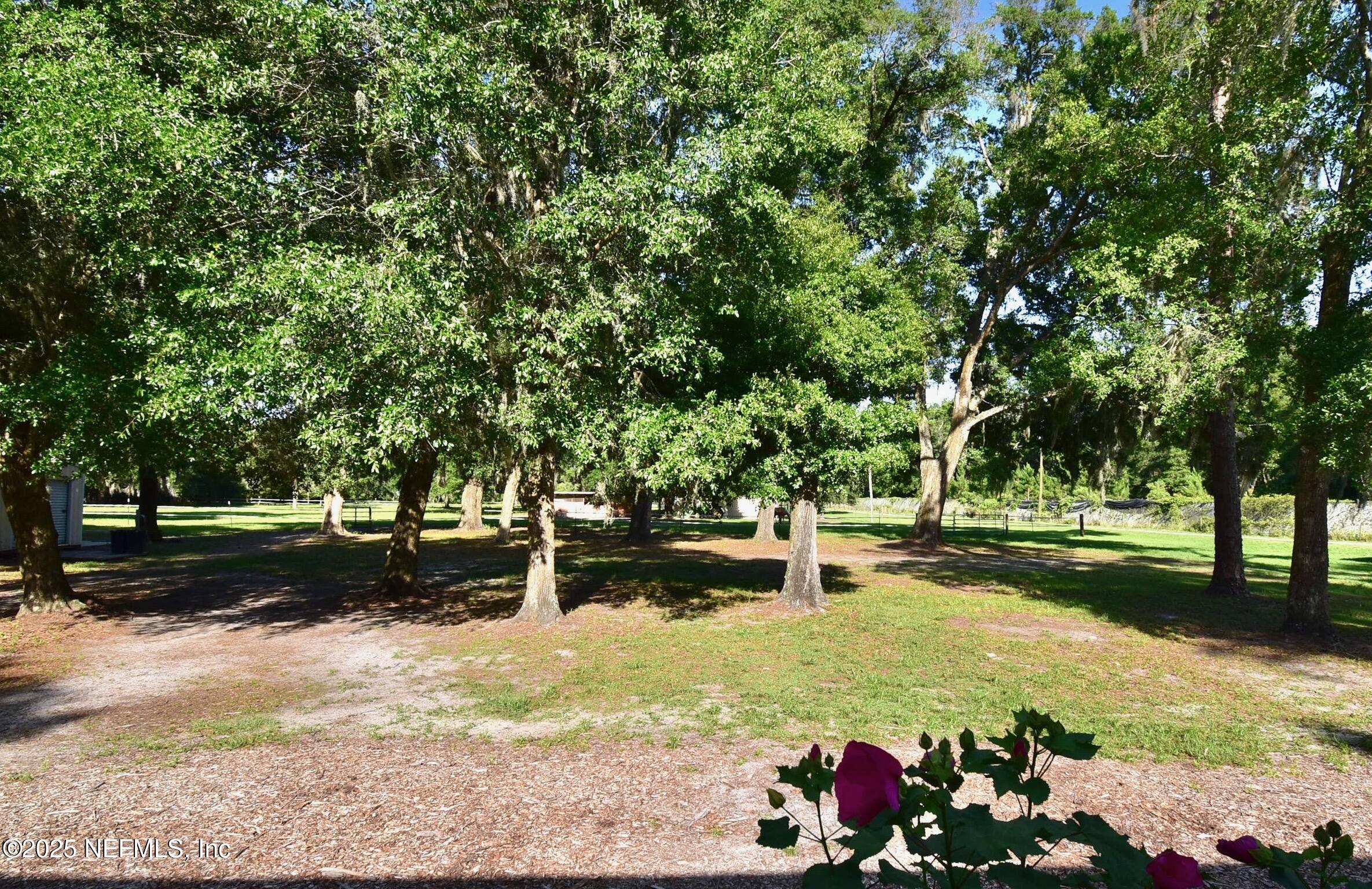 500 Georgetown Shortcut Road Georgetown, FL 32139 - Photo 9 of 59 a backyard of a house with lots of green space