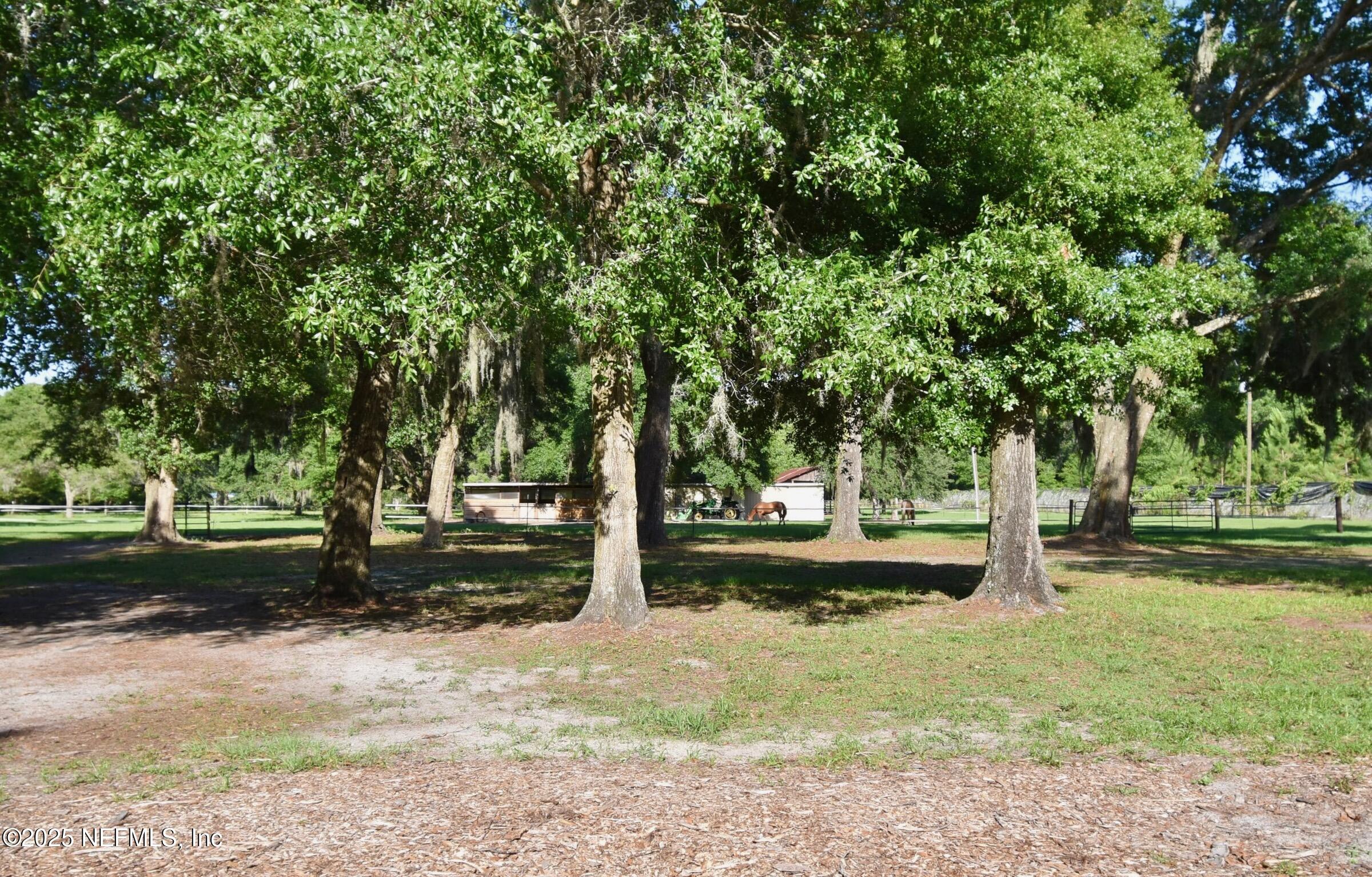 500 Georgetown Shortcut Road Georgetown, FL 32139 - Photo 10 of 59 a view of a yard with plants and trees