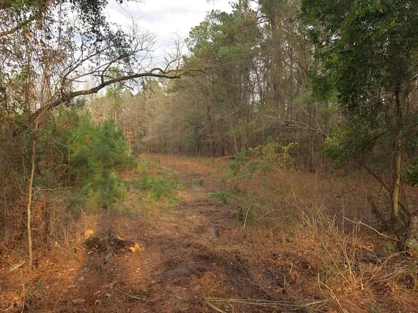 $150,000 | 6336 North Road, North, SC 29112