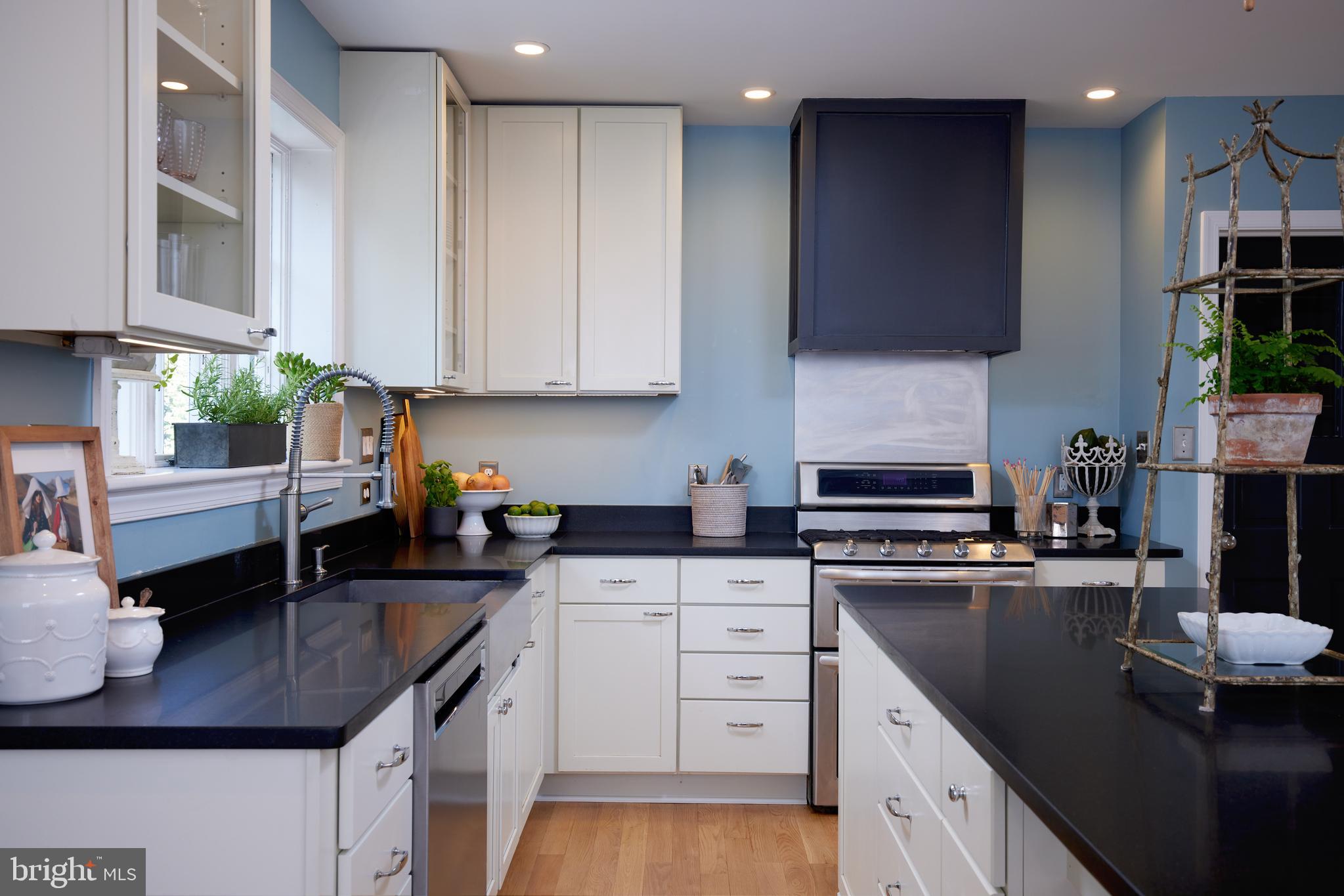 9604 Old Spring Road Kensington, MD 20895 - Photo 16 of 80 a kitchen with stainless steel appliances granite countertop a sink a stove and a cabinets