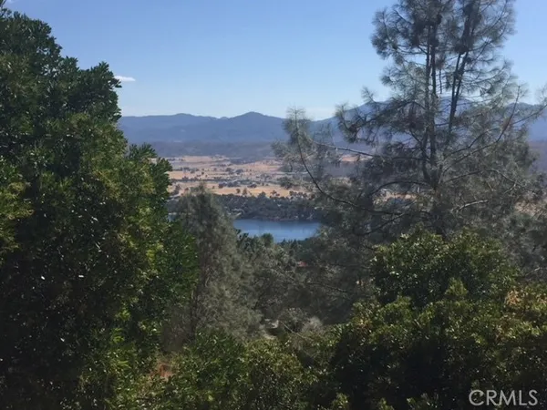 a view of a city with lush green forest