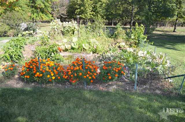 18202 Chaney Road Spencerville, IN 46788 - Photo 25 of 30