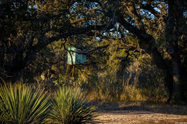 a view of a yard with an outdoor space