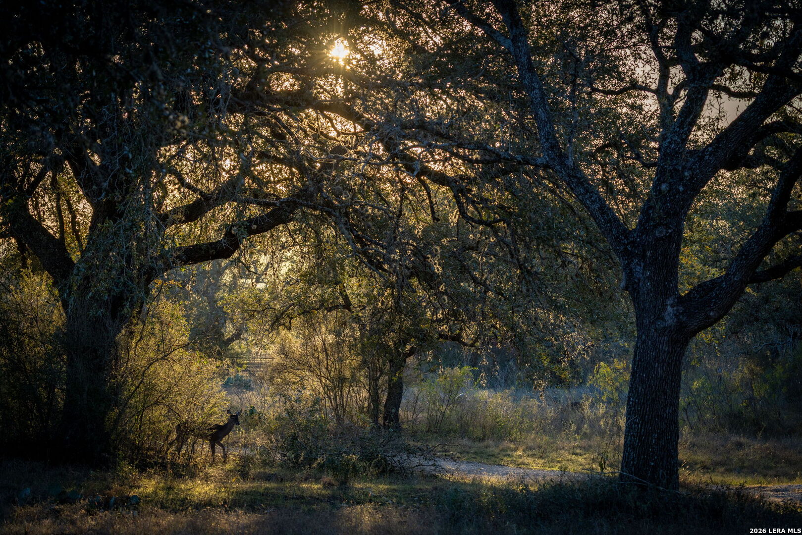 19512 Tonkawa Pass Garden Ridge, TX 78266 - Photo 17 of 67