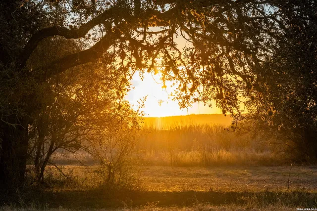 a view of backyard with green space