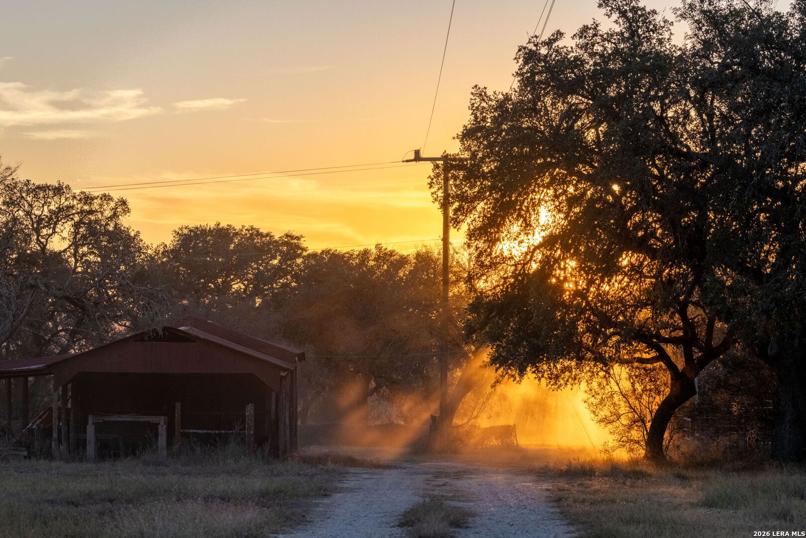 19512 Tonkawa Pass Garden Ridge, TX 78266 - Photo 21 of 67 a view of a yard with wooden fence