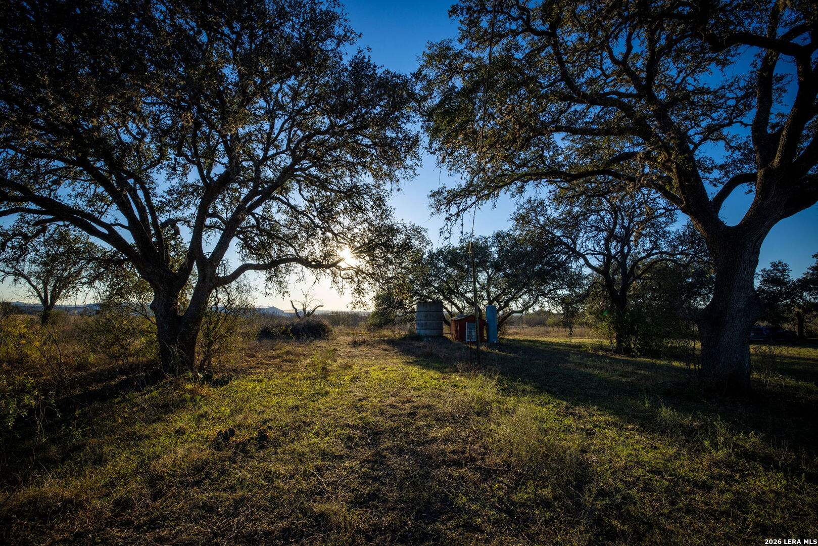 19512 Tonkawa Pass Garden Ridge, TX 78266 - Photo 28 of 67 a view of backyard with green space