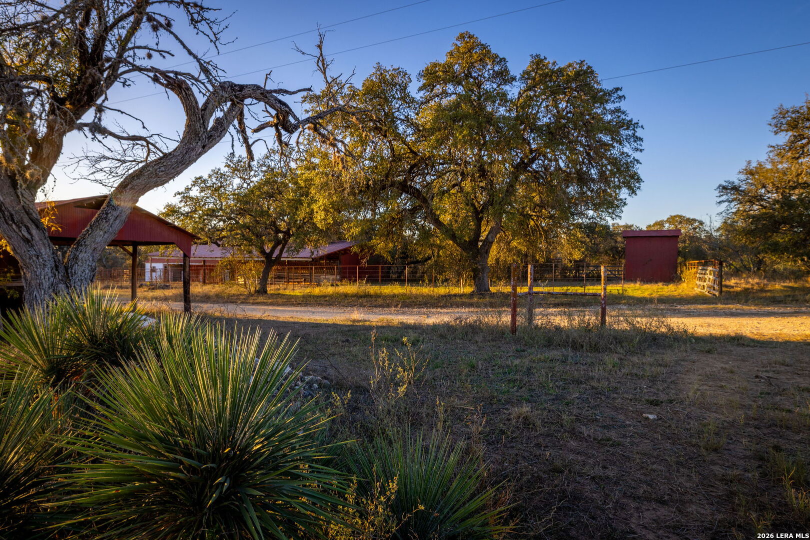 19512 Tonkawa Pass Garden Ridge, TX 78266 - Photo 30 of 67 a view of a yard with a tree