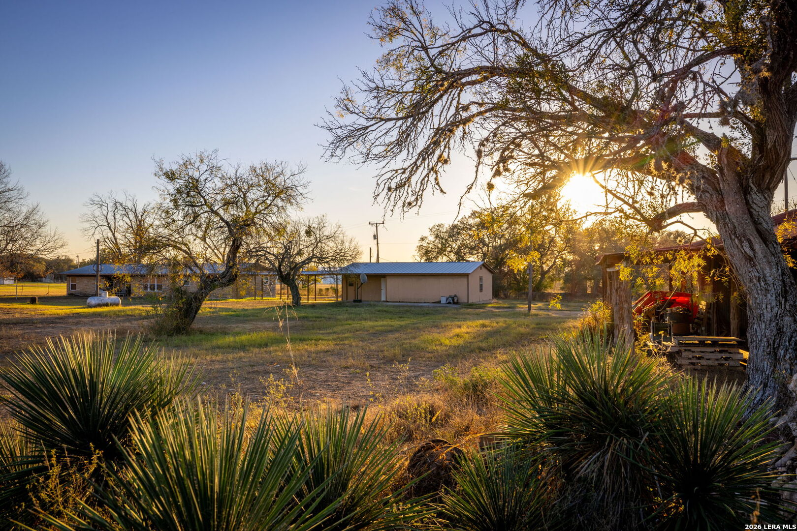 19512 Tonkawa Pass Garden Ridge, TX 78266 - Photo 32 of 67 a view of a yard with plants and trees