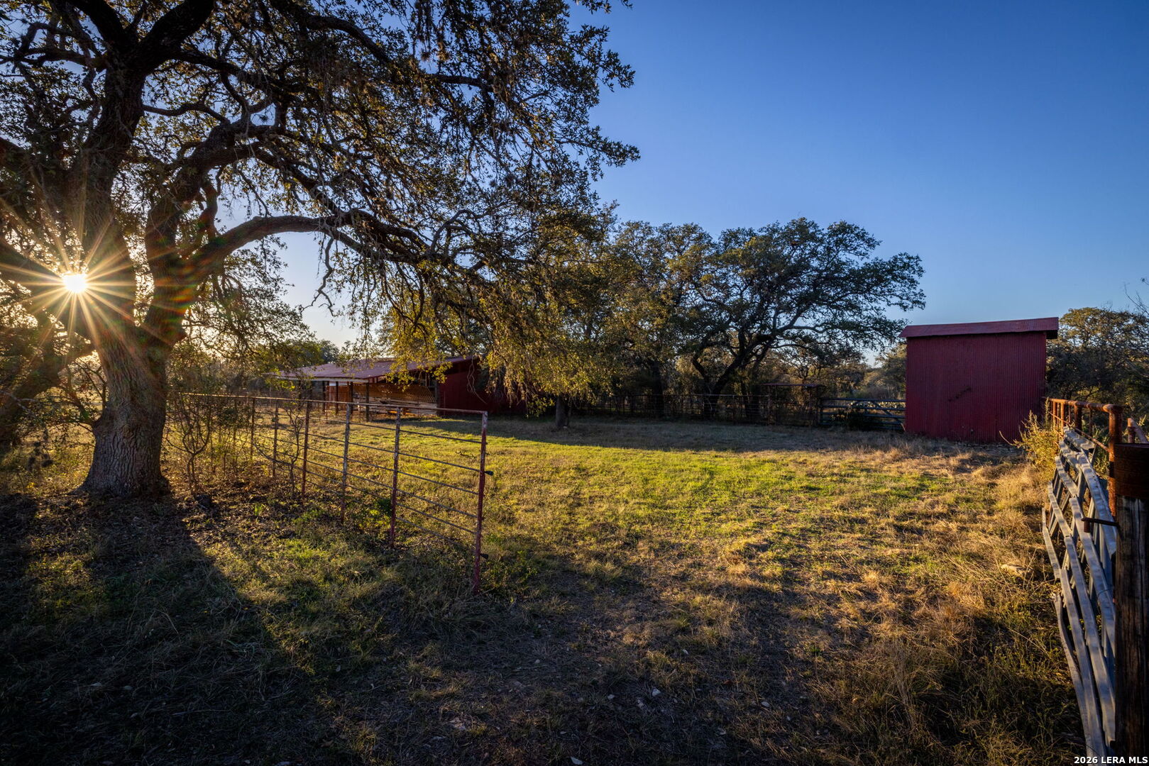19512 Tonkawa Pass Garden Ridge, TX 78266 - Photo 34 of 67 a view of a yard