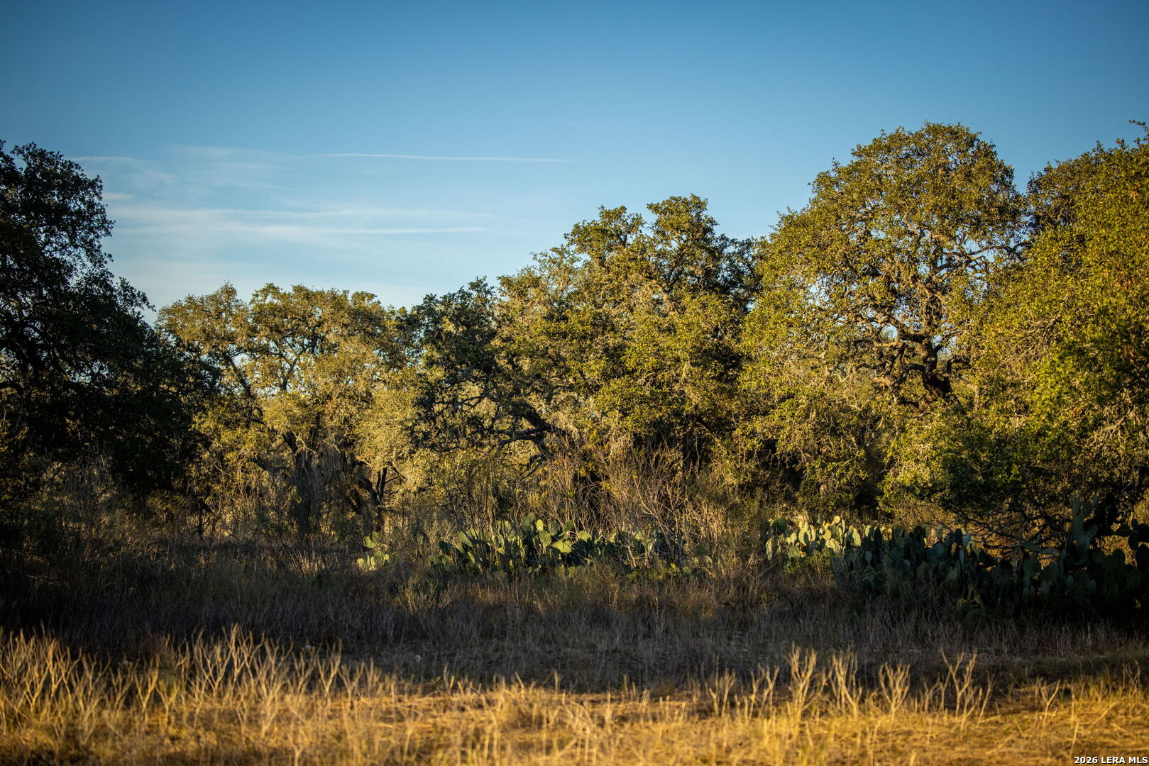 19512 Tonkawa Pass Garden Ridge, TX 78266 - Photo 4 of 67