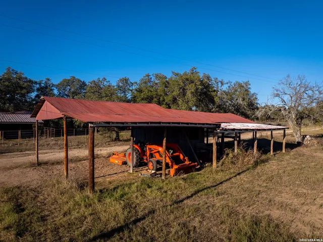 a view of a tree in a field with lots of bushes