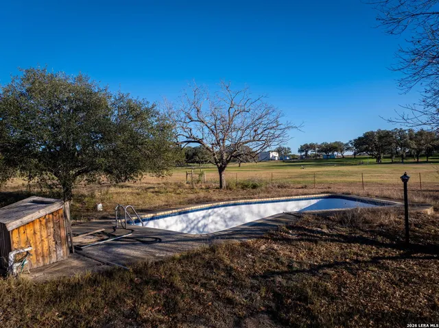 a view of a bunch of trees