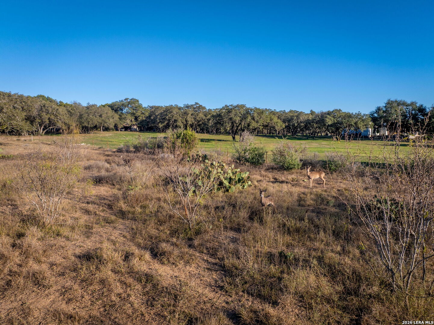 19512 Tonkawa Pass Garden Ridge, TX 78266 - Photo 48 of 67 a view of lake with mountain