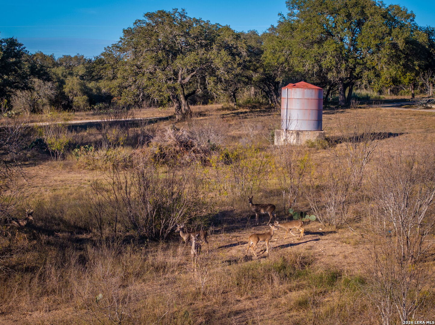 19512 Tonkawa Pass Garden Ridge, TX 78266 - Photo 49 of 67 a view of a back yard of the house and trees all around