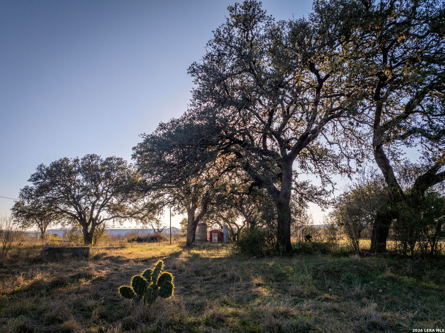 19512 Tonkawa Pass Garden Ridge, TX 78266 - Photo 52 of 67 a view of backyard with outdoor space