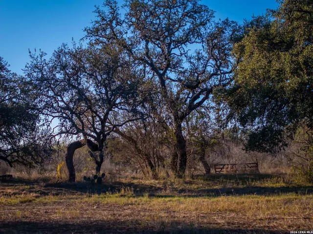 $2,145,000 | 19512 Tonkawa Pass, Garden Ridge, TX 78266