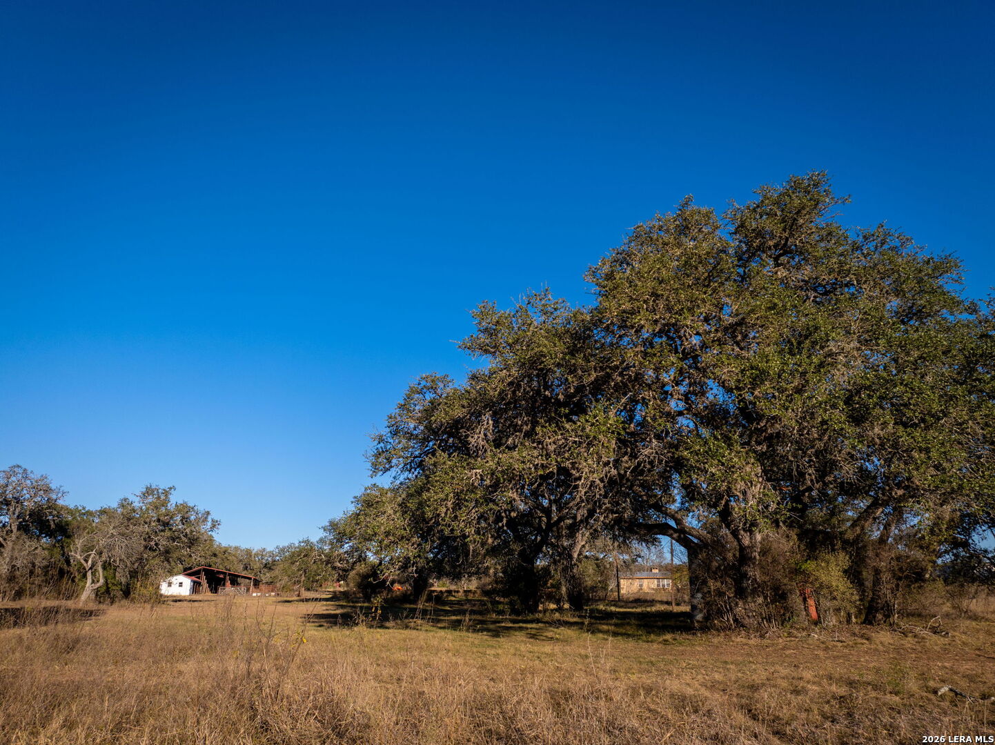 19512 Tonkawa Pass Garden Ridge, TX 78266 - Photo 56 of 67 a backyard of a house with lots of green space