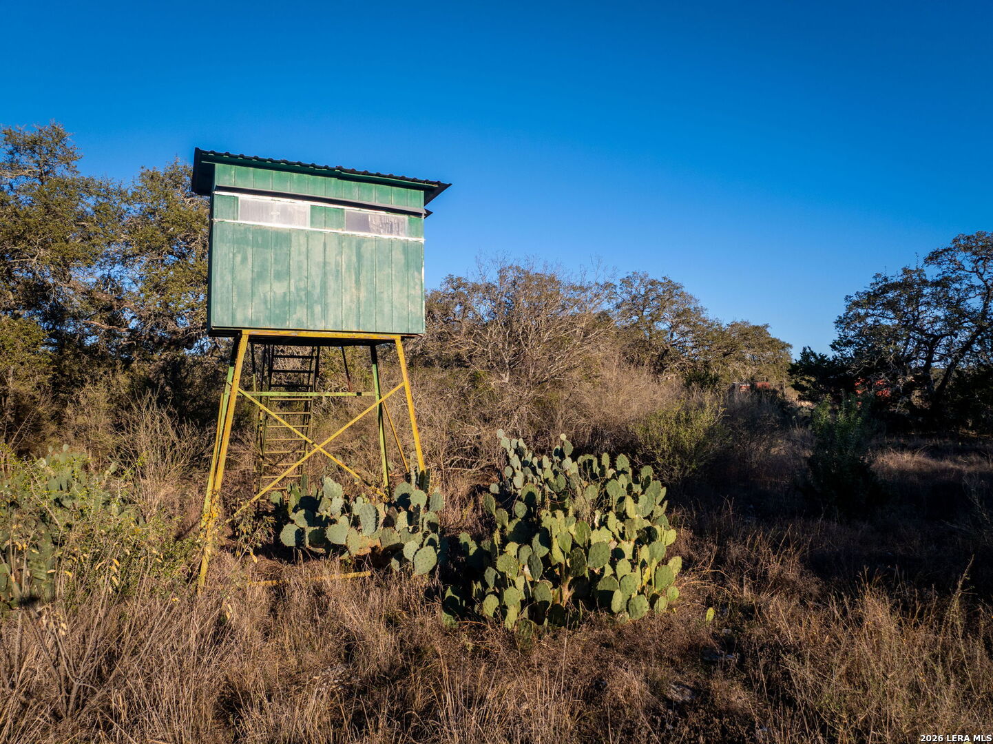 19512 Tonkawa Pass Garden Ridge, TX 78266 - Photo 59 of 67