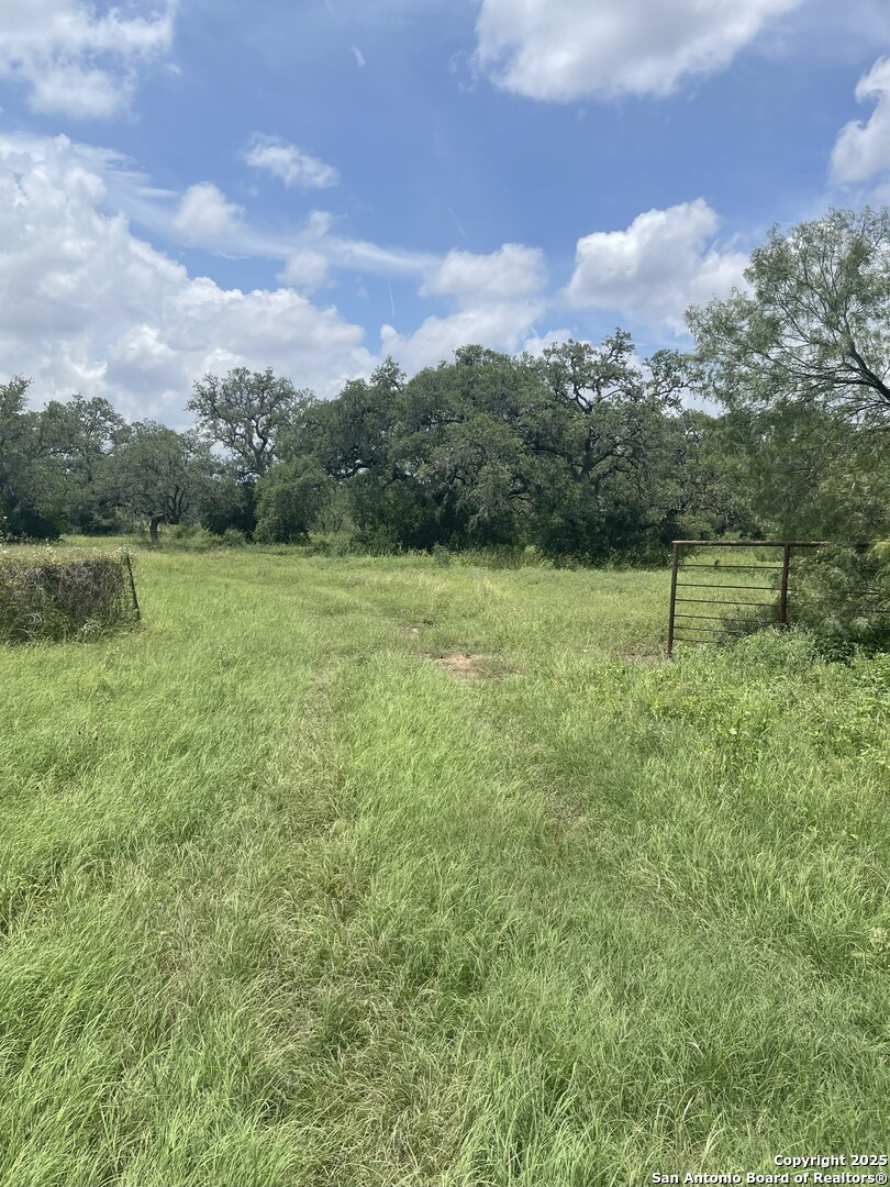 19512 Tonkawa Pass Garden Ridge, TX 78266 - Photo 6 of 6 a view of an outdoor space and a yard