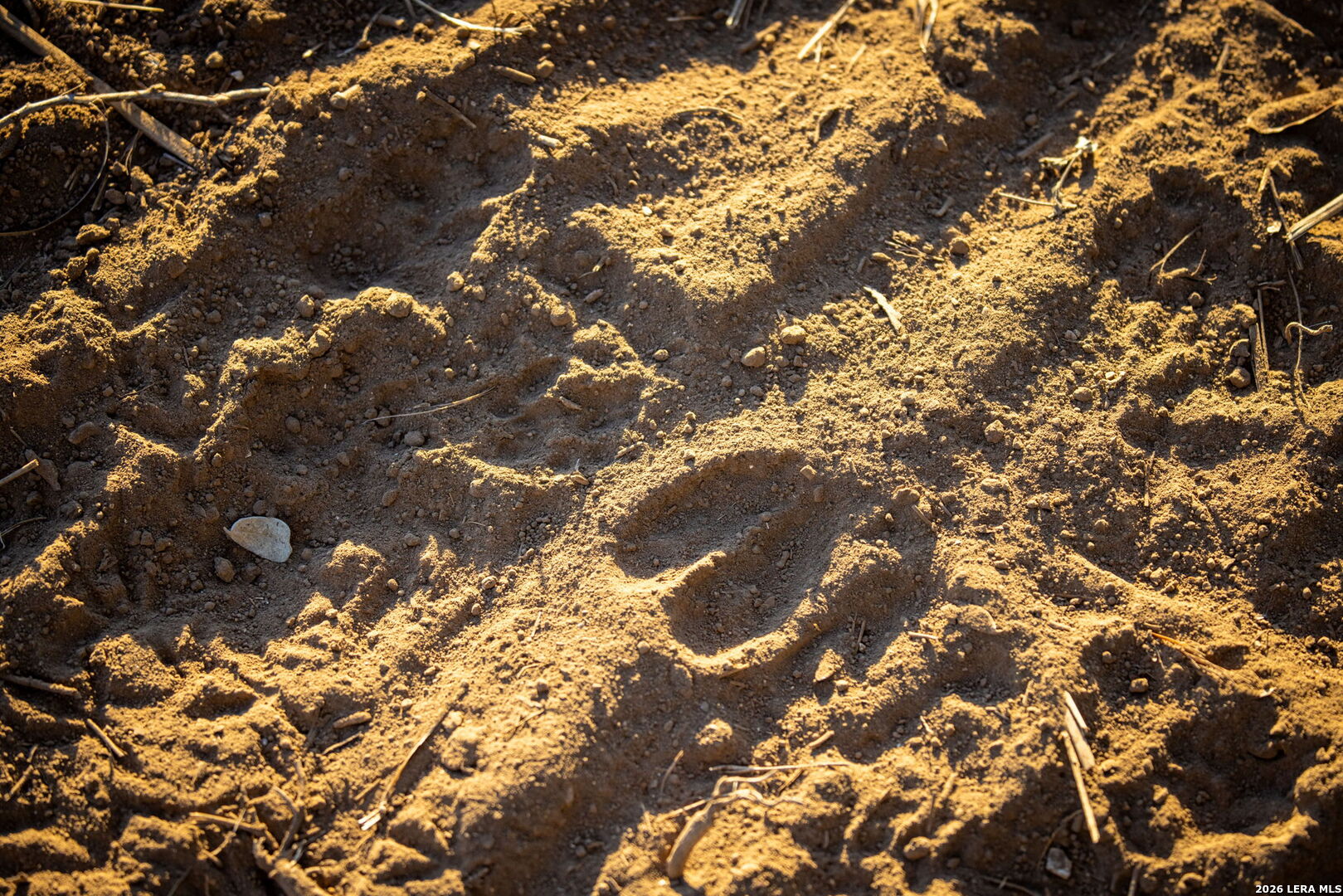 19512 Tonkawa Pass Garden Ridge, TX 78266 - Photo 7 of 67