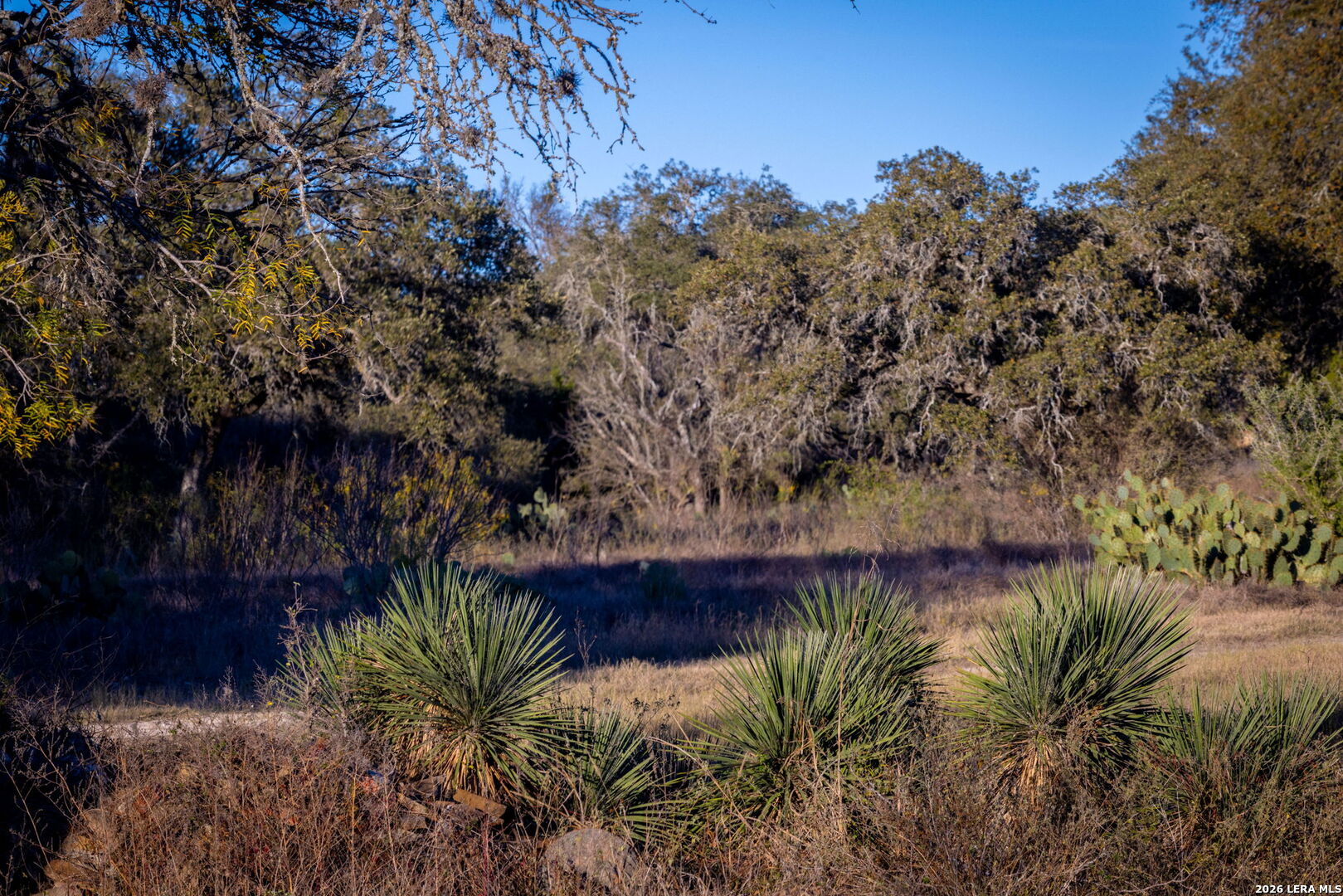 19512 Tonkawa Pass Garden Ridge, TX 78266 - Photo 9 of 67 a view of a lake